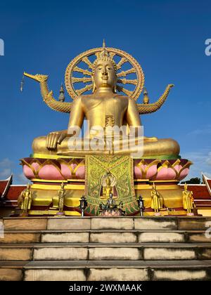 Koh Samui, Thailand - 24. Januar 2024: Der große Buddha-Tempel des Wat Phra Yai steht unter einem blauen Himmel auf der Insel Samui in Thailand. Stockfoto