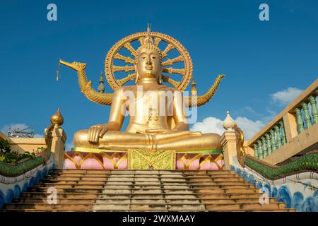 Koh Samui, Thailand - 21. Januar 2024: Wat Phra Yai, die goldene große Buddha-Statue auf der Insel Samui, Thailand Stockfoto