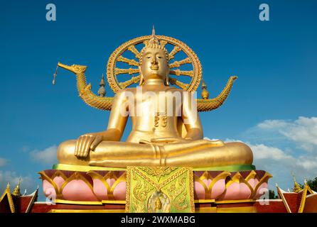 Koh Samui, Thailand - 21. Januar 2024: Große goldene Buddha-Statue sitzt unter dem blauen Himmel im Tempel Wat Phra Yai auf der Insel Koh Samui in Thaila Stockfoto