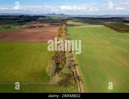 Aus der Vogelperspektive der Dere Street Römerstraße mit Blick nach Norden in Richtung der Eildon Hills (lateinisch: trium montium, drei Hügel) bei Melrose. Stockfoto