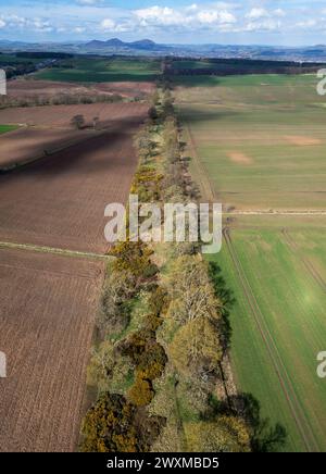 Aus der Vogelperspektive der Dere Street Römerstraße mit Blick nach Norden in Richtung der Eildon Hills (lateinisch: trium montium, drei Hügel) bei Melrose. Stockfoto