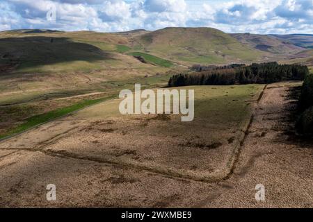 Aus der Vogelperspektive der römischen Lager Pennymuir. Die Route der Dere Street führt am Lager auf der linken Seite in Richtung Woden Law in Richtung Süden in der Nähe von Jedburgh, Schottland, Großbritannien Stockfoto