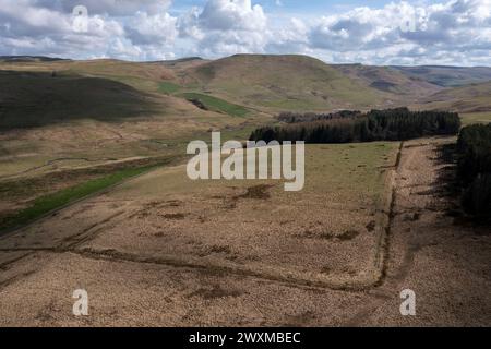 Aus der Vogelperspektive der römischen Lager Pennymuir. Die Route der Dere Street führt am Lager auf der linken Seite in Richtung Woden Law in Richtung Süden in der Nähe von Jedburgh, Schottland, Großbritannien Stockfoto