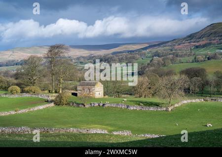 Am frühen Morgen im oberen Wensleydale, Blick auf den dale bei Burtersett in Richtung Abbotside und Cotterdale Fells im frühen Frühjahr. Yorkshire Dales Nation Stockfoto