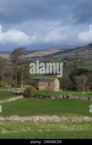 Am frühen Morgen im oberen Wensleydale, Blick auf den dale bei Burtersett in Richtung Abbotside und Cotterdale Fells im frühen Frühjahr. Yorkshire Dales Nation Stockfoto