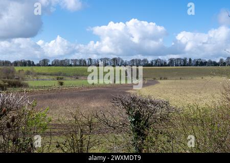 RSPB Winterbourne Downs Naturschutzgebiet in Spring, Wiltshire, England, Großbritannien. Ein Blick auf die sanfte Kreidefarmlandschaft Stockfoto