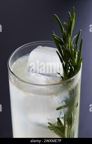 Grapefruit-Cocktail mit Rosmarin-Verzierung Stockfoto