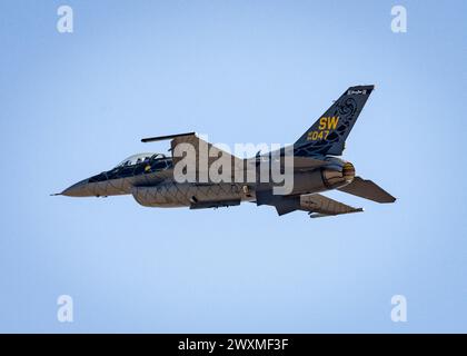 Ein Pilot, der dem F-16 Viper Demonstration Team zugewiesen wurde, führt einen Hochgeschwindigkeitspass auf der Shaw Air Force Base, S.C., am 26. Januar 2022 durch Stockfoto