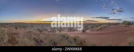 Panoramablick über die namibische Kalahari am Abend bei Sonnenuntergang mit blauem Himmel und hellen Wolken im Sommer Stockfoto