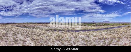 Panoramablick über die namibische Kalahari mit blauem Himmel und hellen Wolken im Sommer Stockfoto