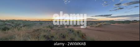 Panoramablick über die namibische Kalahari am Abend bei Sonnenuntergang mit blauem Himmel und hellen Wolken im Sommer Stockfoto