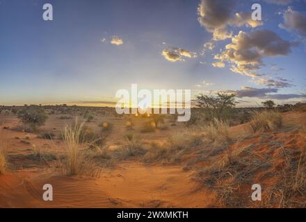 Panoramablick über die namibische Kalahari am Abend bei Sonnenuntergang mit blauem Himmel und hellen Wolken im Sommer Stockfoto