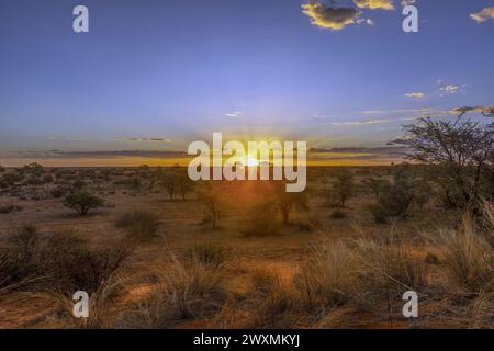 Panoramablick über die namibische Kalahari am Abend bei Sonnenuntergang mit blauem Himmel und hellen Wolken im Sommer Stockfoto