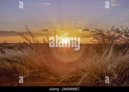 Panoramablick über die namibische Kalahari am Abend bei Sonnenuntergang mit blauem Himmel und hellen Wolken im Sommer Stockfoto