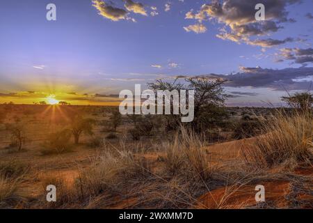 Panoramablick über die namibische Kalahari am Abend bei Sonnenuntergang mit blauem Himmel und hellen Wolken im Sommer Stockfoto