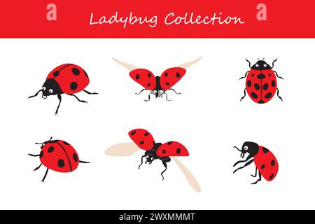 Satz Marienkäfer. Isolierte Vektorillustration auf weißem Hintergrund. Stock Vektor