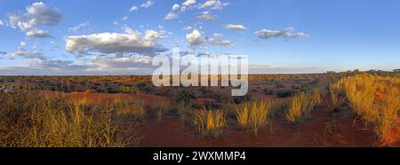 Panoramablick über die namibische Kalahari am Abend bei Sonnenuntergang mit blauem Himmel und hellen Wolken im Sommer Stockfoto