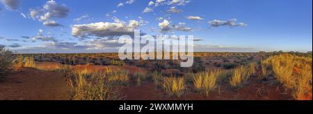 Panoramablick über die namibische Kalahari am Abend bei Sonnenuntergang mit blauem Himmel und hellen Wolken im Sommer Stockfoto