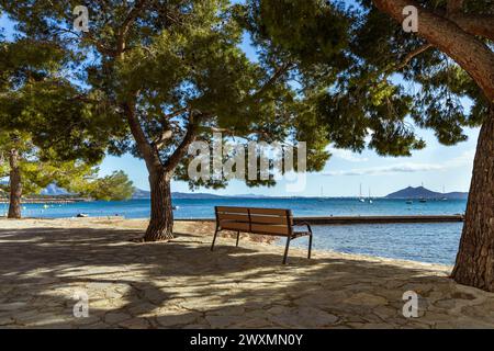 Die wunderschöne Bucht von Puerto Pollenca, Mallorca, Spanien mit dem Pine Walk entlang der Promenade. Puerto De Pollensa Stockfoto