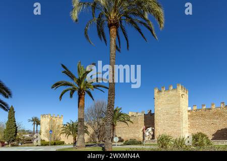 Die mittelalterlichen Mauern aus dem 14. Jahrhundert der Altstadt von Alcudia, Mallorca, Spanien, Balearen Stockfoto