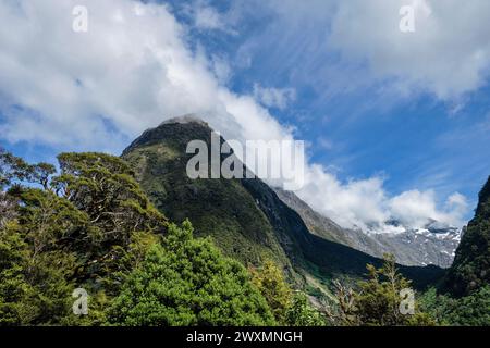 Blick vom Hollyford Valley Lookout auf den schneebedeckten Gipfel des Mt. Christina, Fiordland National Park, Southland, Südinsel, Neuseeland Stockfoto