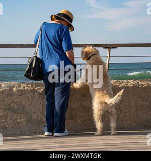 Eine Frau und ihr Hund, die sich auf einen Zaun lehnen und das Meer beobachten, an einem sonnigen Tag. Stockfoto