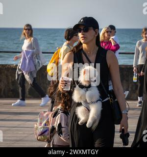 Tel Aviv, Israel - 6. Januar 2023: Eine Frau mit einem kleinen Hund, der an der Vorderseite ihres Körpers befestigt ist, an einem sonnigen Tag im Hafengebiet von Tel Aviv. Stockfoto