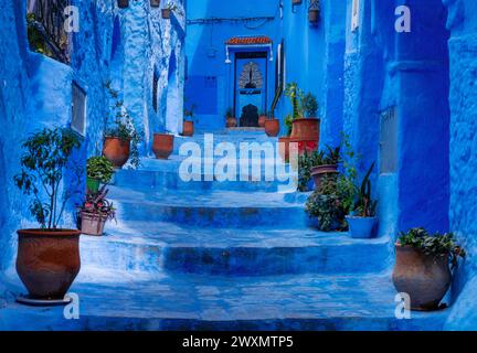 Chefchaouen, Marokko - 2. März 2024: Treppen mit Topfpflanzen führen zu einer Haustür in der blauen Stadt Chefchaouen Stockfoto