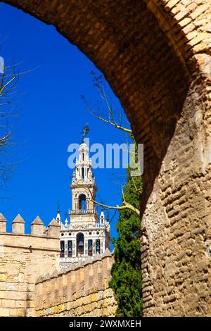 Blick auf den Giralda-Turm, Glockenturm der Kathedrale von Sevilla, Sevilla, Spanien Stockfoto