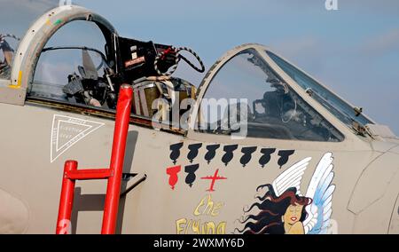 Die Panavia Tornado ist eine Familie von zweimotorigen Mehrzweckflugzeugen. Stockfoto