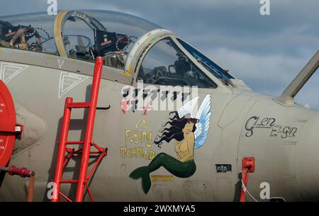 Die Panavia Tornado ist eine Familie von zweimotorigen Mehrzweckflugzeugen. Stockfoto