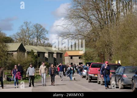 Imber, Großbritannien. April 2024. Ein geschäftiger Tag in Imber auf der Salisbury Plain. Das Dorf Imber ist in der Regel nicht zugänglich, da es Teil des Army-Trainingsplatzes auf der Salisbury Plain ist. Heute am Ostermontag eröffnet, zieht dieses verlassene und traurige kleine, ruinierte Dorf die Menschenmassen an. Das Dorf wurde im Zweiten Weltkrieg für die Ausbildung der Armee übernommen, mit dem Versprechen, dass es den Vilagern zurückgegeben werden würde, aber das Versprechen wurde nie eingehalten. Quelle: JMF News/Alamy Live News Stockfoto