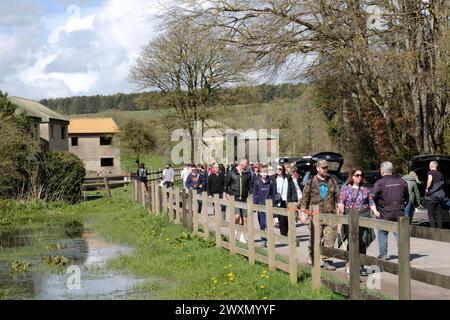 Imber, Großbritannien. April 2024. Ein geschäftiger Tag in Imber auf der Salisbury Plain. Das Dorf Imber ist in der Regel nicht zugänglich, da es Teil des Army-Trainingsplatzes auf der Salisbury Plain ist. Heute am Ostermontag eröffnet, zieht dieses verlassene und traurige kleine, ruinierte Dorf die Menschenmassen an. Das Dorf wurde im Zweiten Weltkrieg für die Ausbildung der Armee übernommen, mit dem Versprechen, dass es den Vilagern zurückgegeben werden würde, aber das Versprechen wurde nie eingehalten. Quelle: JMF News/Alamy Live News Stockfoto