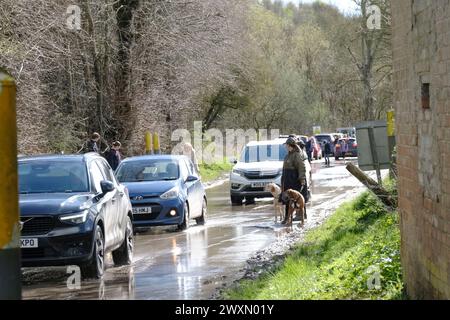 Imber, Großbritannien. April 2024. Ein geschäftiger Tag in Imber auf der Salisbury Plain. Das Dorf Imber ist in der Regel nicht zugänglich, da es Teil des Army-Trainingsplatzes auf der Salisbury Plain ist. Heute am Ostermontag eröffnet, zieht dieses verlassene und traurige kleine, ruinierte Dorf die Menschenmassen an. Das Dorf wurde im Zweiten Weltkrieg für die Ausbildung der Armee übernommen, mit dem Versprechen, dass es den Vilagern zurückgegeben werden würde, aber das Versprechen wurde nie eingehalten. Quelle: JMF News/Alamy Live News Stockfoto