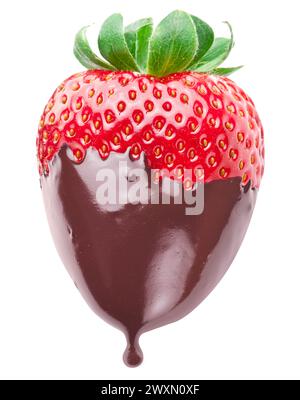 Schokolade eingetauchte Erdbeere auf weißem Hintergrund. Datei enthält Beschneidungspfad. Stockfoto