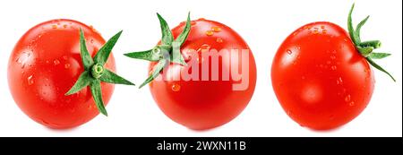 Drei Kirschtomaten mit Wassertropfen bedeckt isoliert auf weißem Hintergrund. Makroaufnahme. Stockfoto