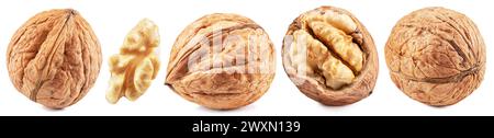 Satz von ganzen Walnüssen, Walnusskern und zerrissenen Walnüssen isoliert auf weißem Hintergrund. Stockfoto
