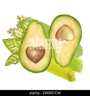 Avocado zwei Hälften, brauner Samen in Herzform, Blätter, Blumen. SMS, dass du mich vervollständigst. Vegane diätetische Lebensmittelmalerei. Handgezeichnete Aquarellillustraten Stockfoto