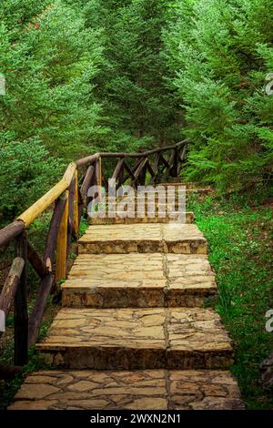 Eine vertikale Aufnahme eines Steinweges in der Nähe von üppigen Bäumen in El Bosque, Andalusien, Spanien Stockfoto