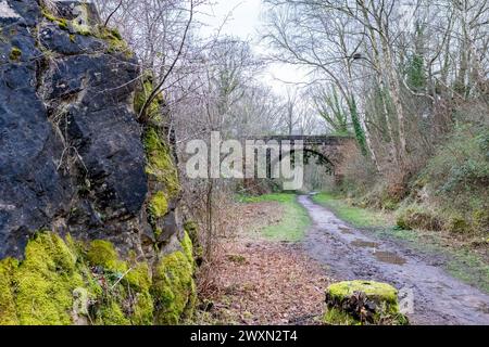 Stillgelegte Eisenbahnstrecke für eine Brücke mit viktorianischer Steinbrücke. Stockfoto