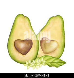 Avocado zwei Hälften, brauner Samen in Herzform, Blätter, Blumen. Du vervollständigst mich. Vegane diätetische Lebensmittelmalerei. Handgezeichnete Aquarellabbildung ist Stockfoto