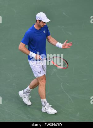 Dubai, 26. Februar 2024 - Foto des britischen Tennisspielers Andy Murray über Action. Dubai Duty Free Tennis Championships 2024 in Dubai Stockfoto