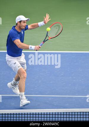 Dubai, 26. Februar 2024 - Foto des britischen Tennisspielers Andy Murray über Action. Dubai Duty Free Tennis Championships 2024 in Dubai Stockfoto