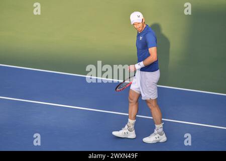 Dubai, 26. Februar 2024 - Foto des britischen Tennisspielers Andy Murray über Action. Dubai Duty Free Tennis Championships 2024 in Dubai Stockfoto