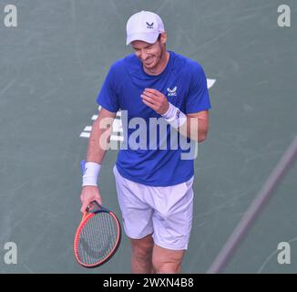 Dubai, 26. Februar 2024 - Foto des britischen Tennisspielers Andy Murray über Action. Dubai Duty Free Tennis Championships 2024 in Dubai Stockfoto