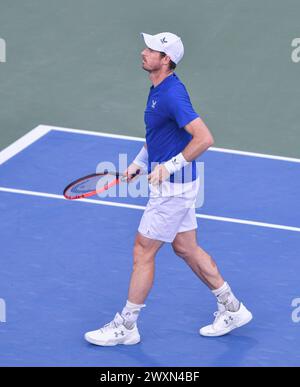 Dubai, 26. Februar 2024 - Foto des britischen Tennisspielers Andy Murray über Action. Dubai Duty Free Tennis Championships 2024 in Dubai Stockfoto