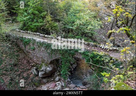 Blick auf eine traditionelle Steinbrücke in den Agrafa Bergen in der Nähe des Dorfes Chryso in Zentralgriechenland Stockfoto