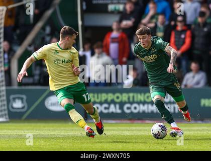 Alfie Devine aus Plymouth Argyle Attacking during the Sky Bet Championship Match Plymouth Argyle vs Bristol City at Home Park, Plymouth, United Kingdom, 1. April 2024 (Foto: Stan Kasala/News Images) Stockfoto