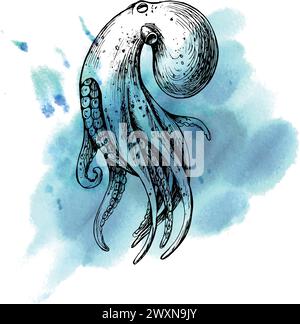 Unterwasserwelt Clipart mit Meerestieren Wal, Schildkröte, Kraken, Seestern, Seesternen, Muscheln, Korallen und Algen. Handgezeichnete grafische Abbildung Stock Vektor