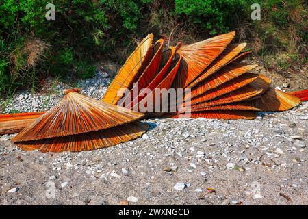 Thailändischer Sonnenschirm am Strand in Phuket, Thailand. Sonnenschirme aus Stroh an der Küste Stockfoto